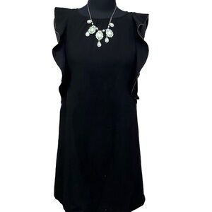 Black Swan Dress